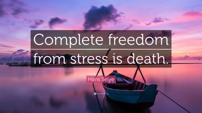 How to Meditate for Achieving Freedom from Stress and Anxiety